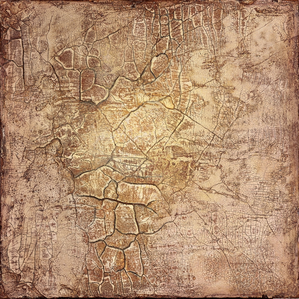 Soil #4 | Claudia Fründ