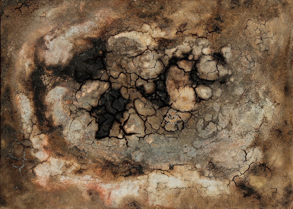 Soil #1 | Claudia Fründ